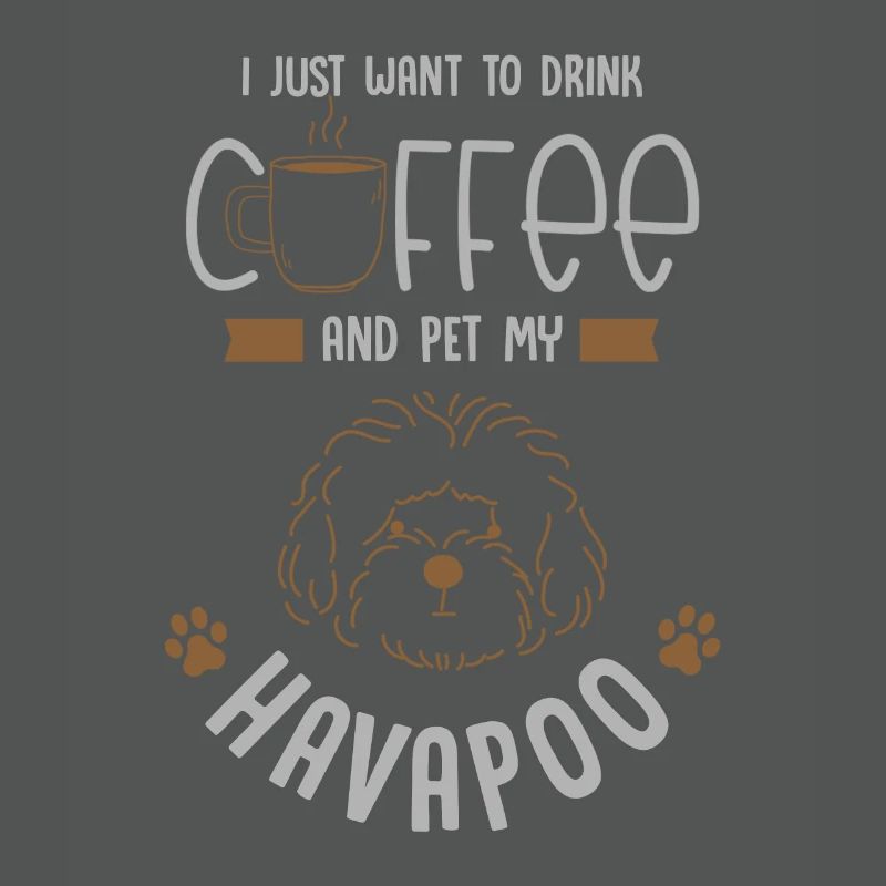 havapoo, havapoo Havanese, poodle,