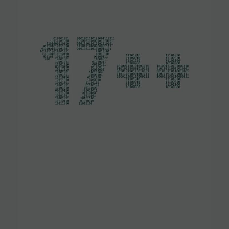 17++ Software Developer Coder Engineer 18th