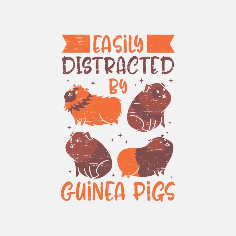 Facilement distrait par les cochons d’Inde