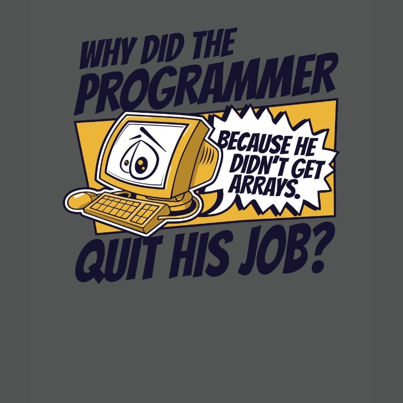 Pourquoi Programmer a-t-il quitté Job Developer Coder