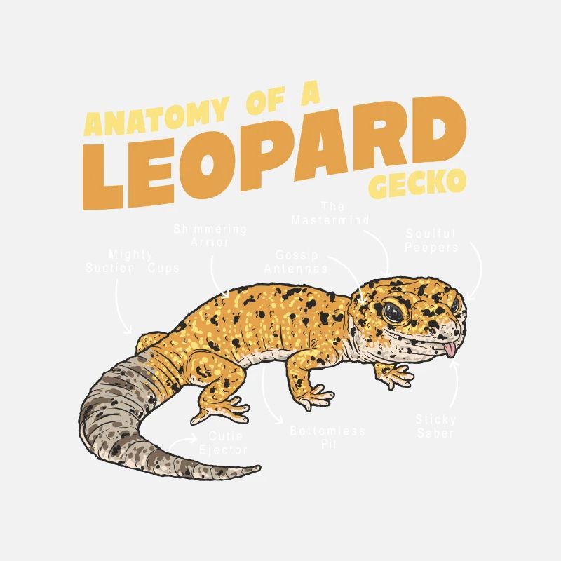 Leopard Gecko Lizard Lover