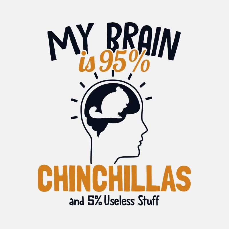 Mon cerveau est composé à 95% de chinchillas à longue queue à poil long