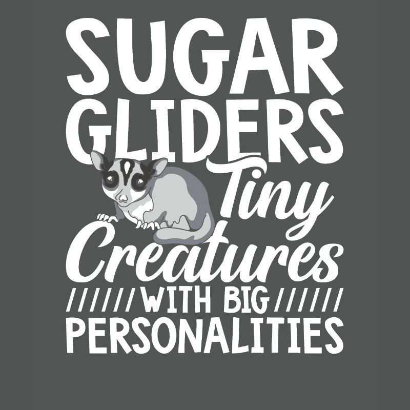 Sugar Gliders Tiny Creatures Sugar Glider Owner