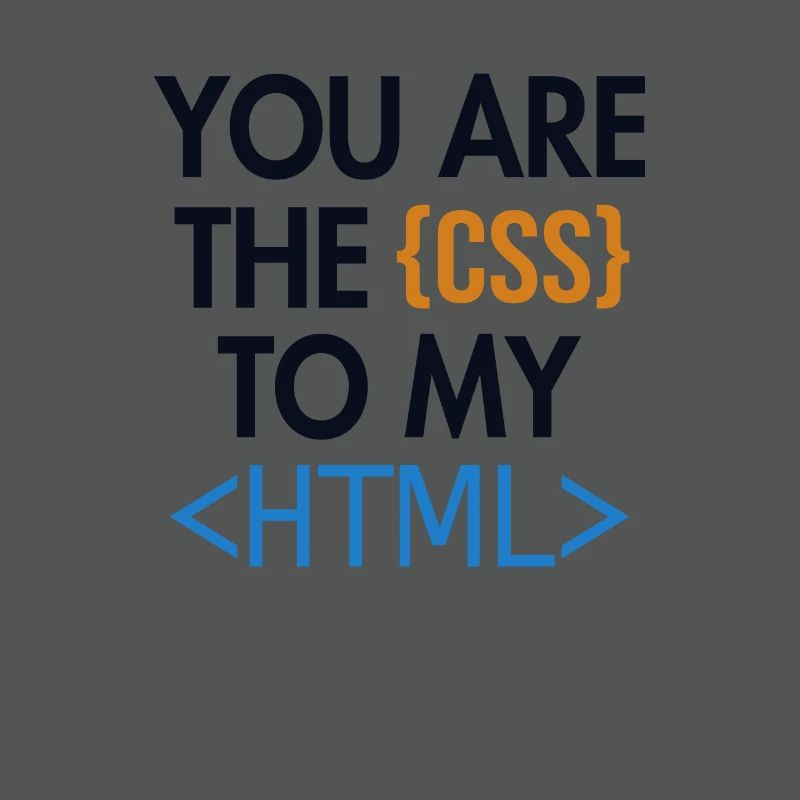 Vous êtes le CSS de mon HTML Developer Coder