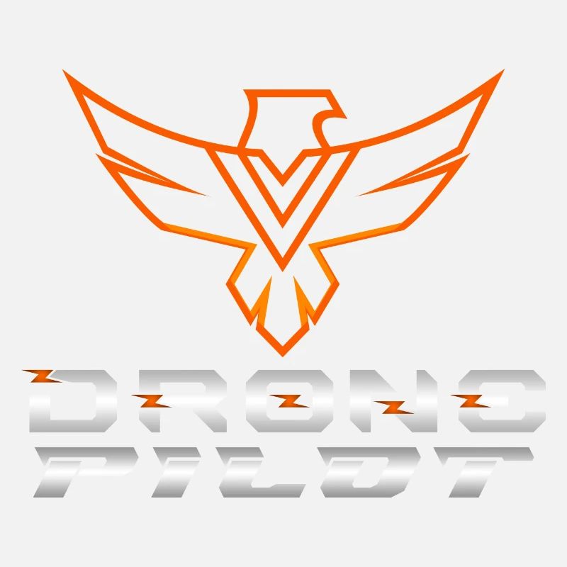 Drone Drones Drone Flight Drone Pilot