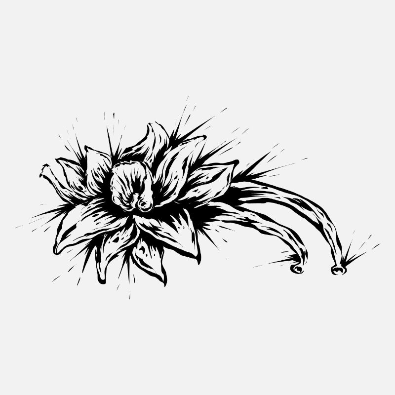 Vanille Blume