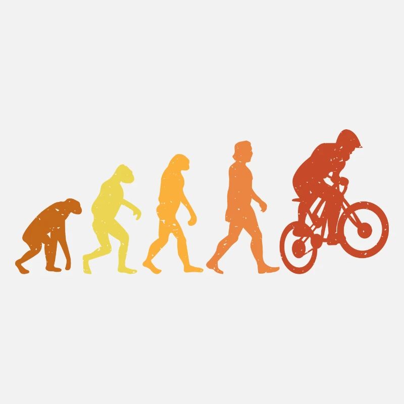 Vintage and Retro BMX Evolution
