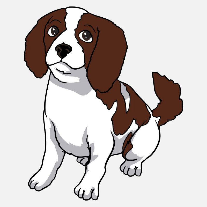 Cavalier King Charles Spaniel dog