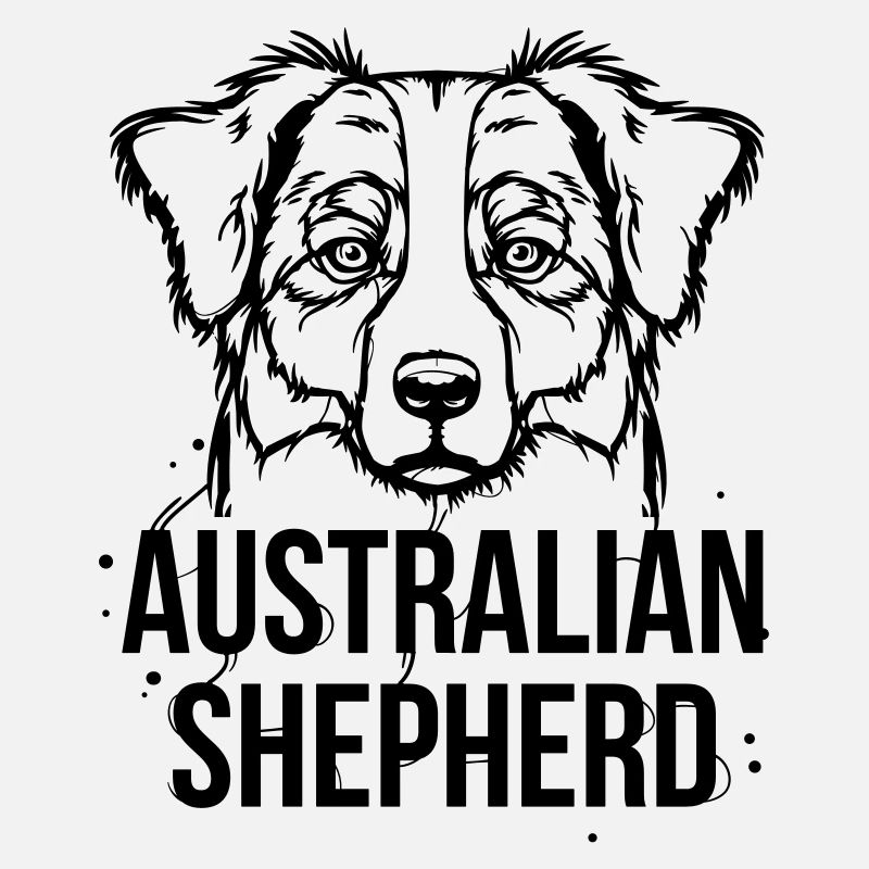 Australian Shepherd