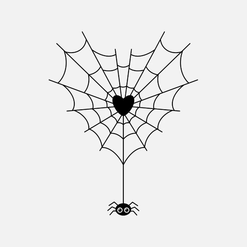 Spider in spider web