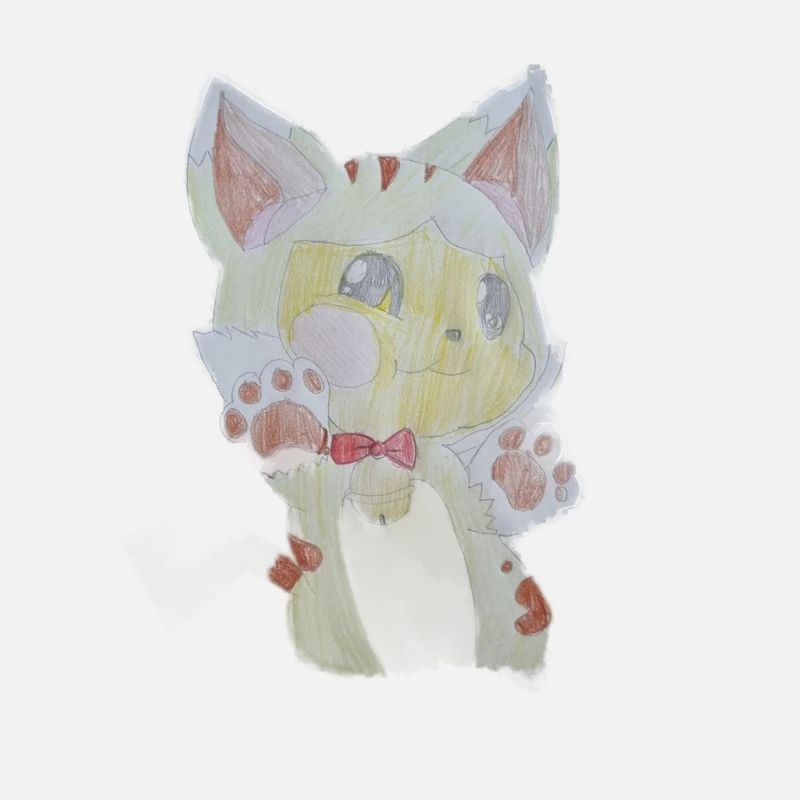 Kitten
