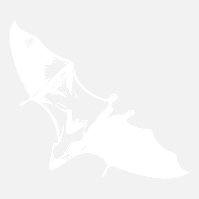 Gliding flying fox