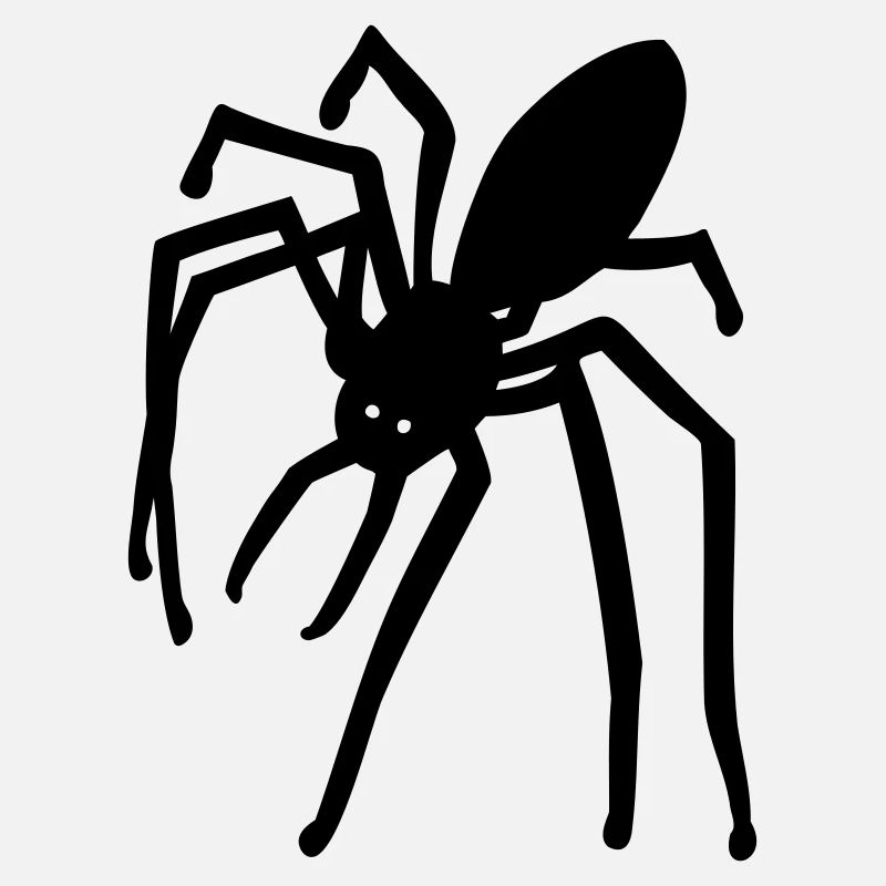 araignée
