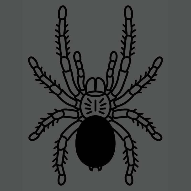 Tarentule Tarentule