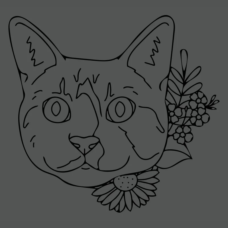 Katze