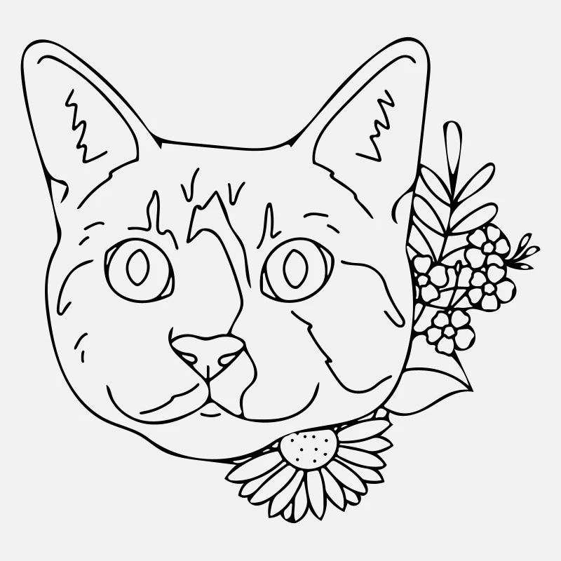 Katze