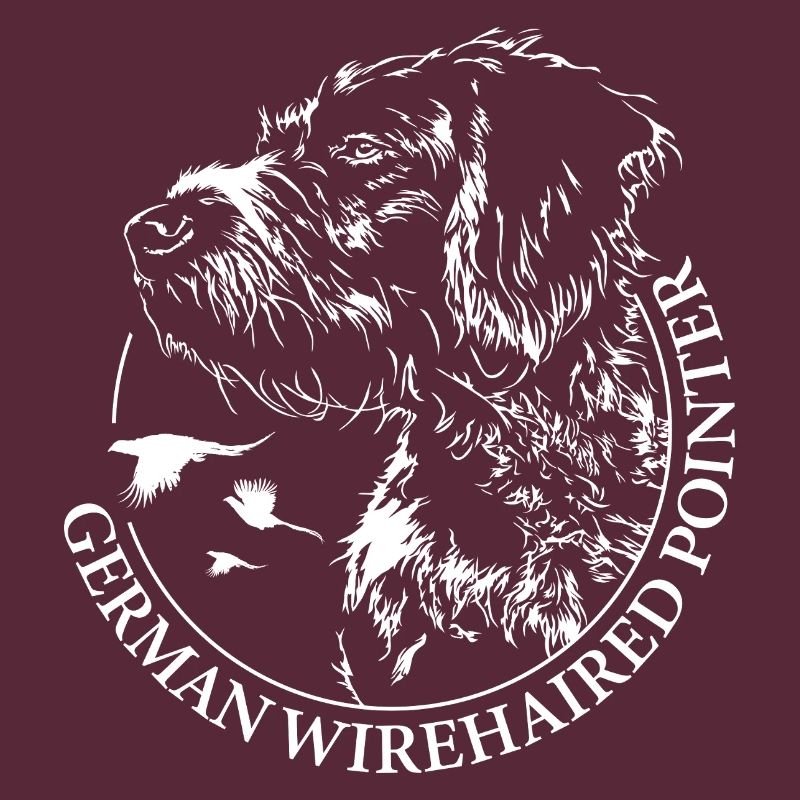 German Wirehaired Pointer Jagdhunde Wilsigns