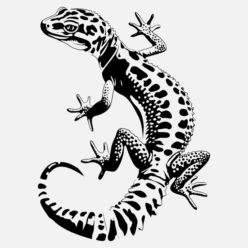 Leopardgecko