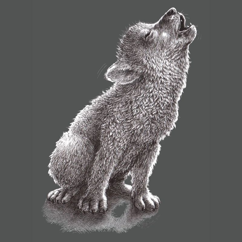 Junger heulender Wolf