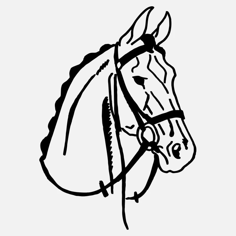 Cheval de selle