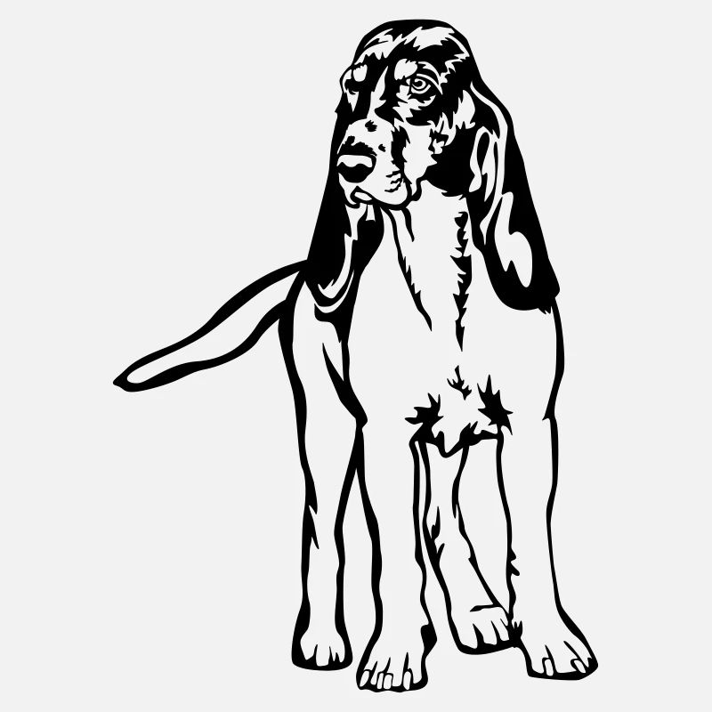 Chien de course bernois