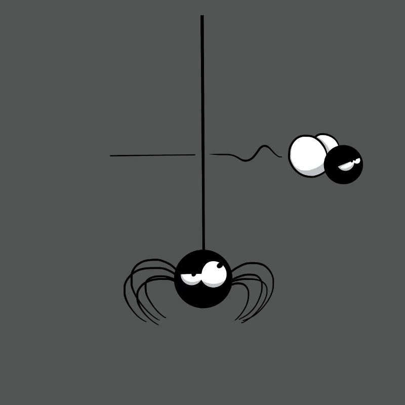 Beth the Spider - The Passing Fly
