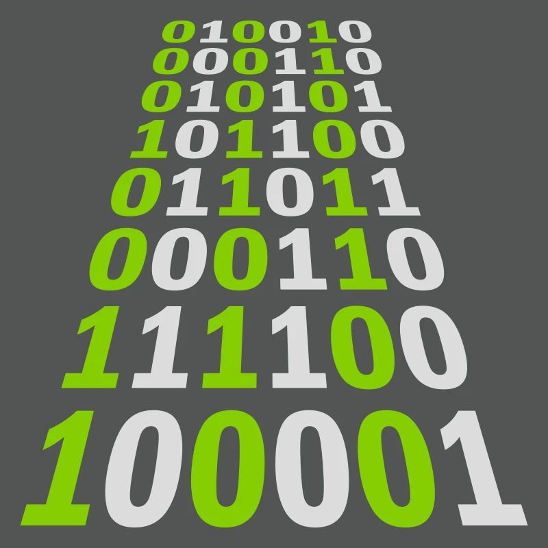 Binary Code Program Language