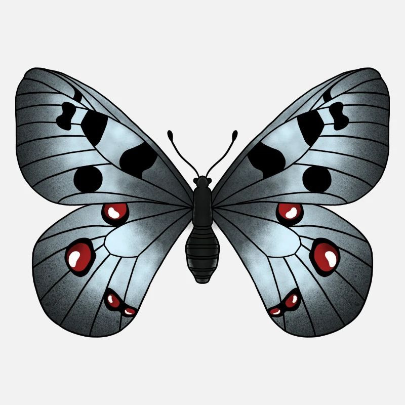 Gris papillon