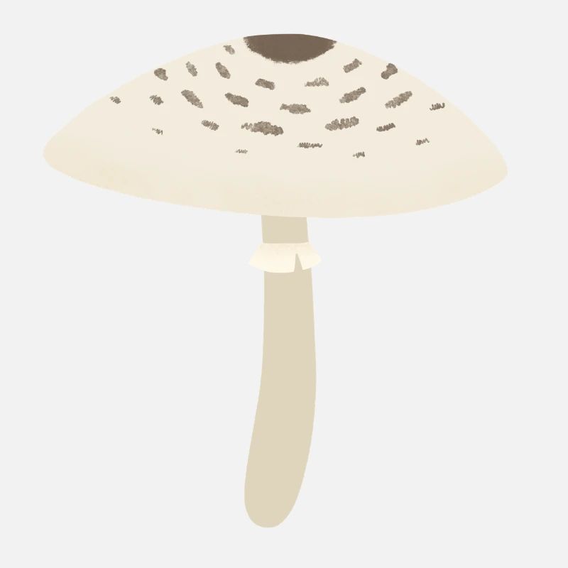 Parasol Champignon