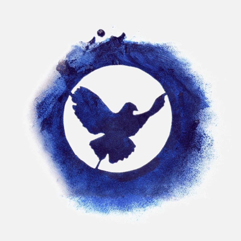 Friedenstaube