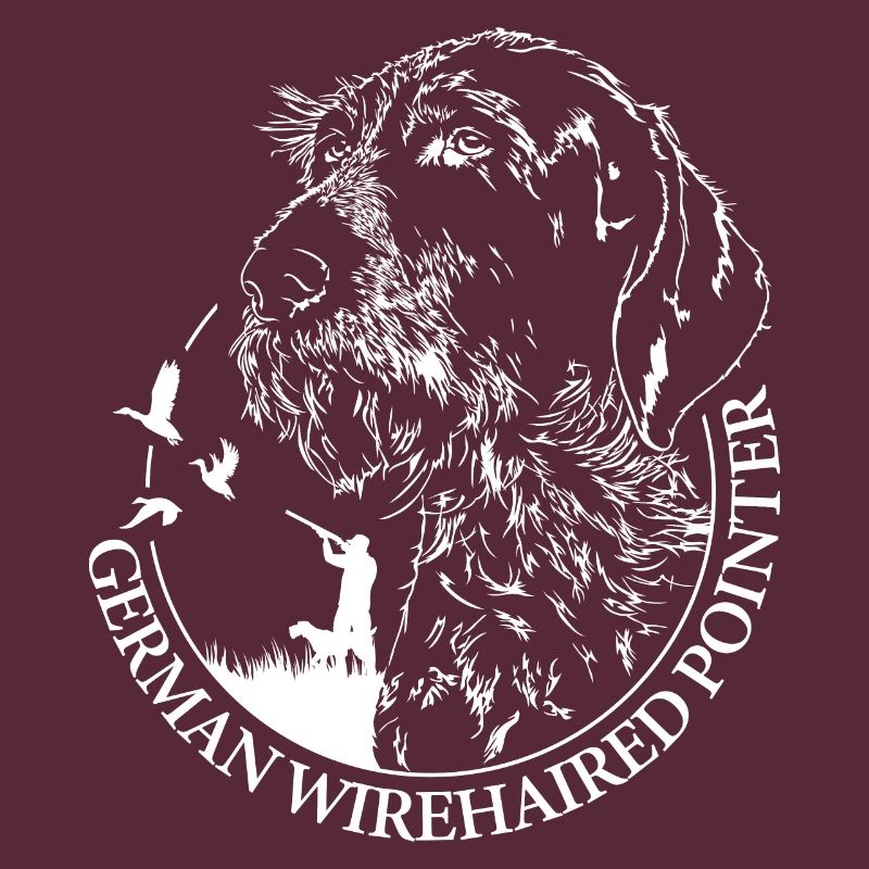 German Wirehaired Pointer Jagdhunde Jäger Wilsigns
