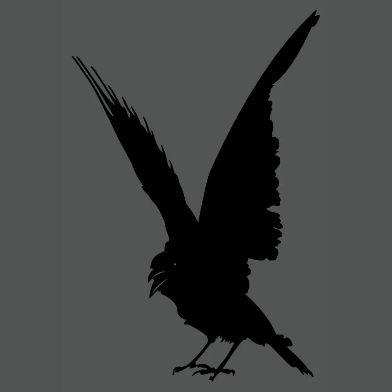 Schwarze Vogelkrähe oder Rabenschattenfigur
