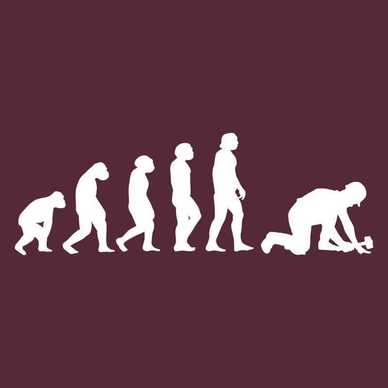 Evolution Pflasterer
