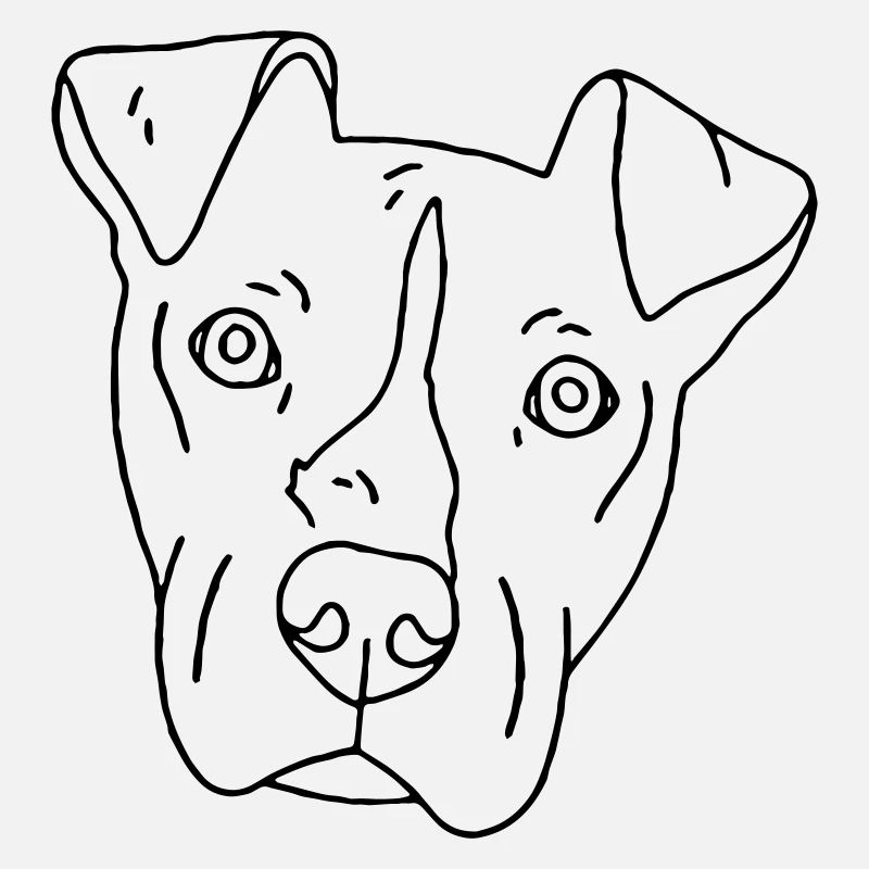 chien