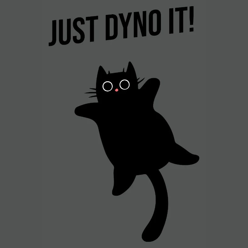 Cat climbs dynamically climbing route Dyno boulder