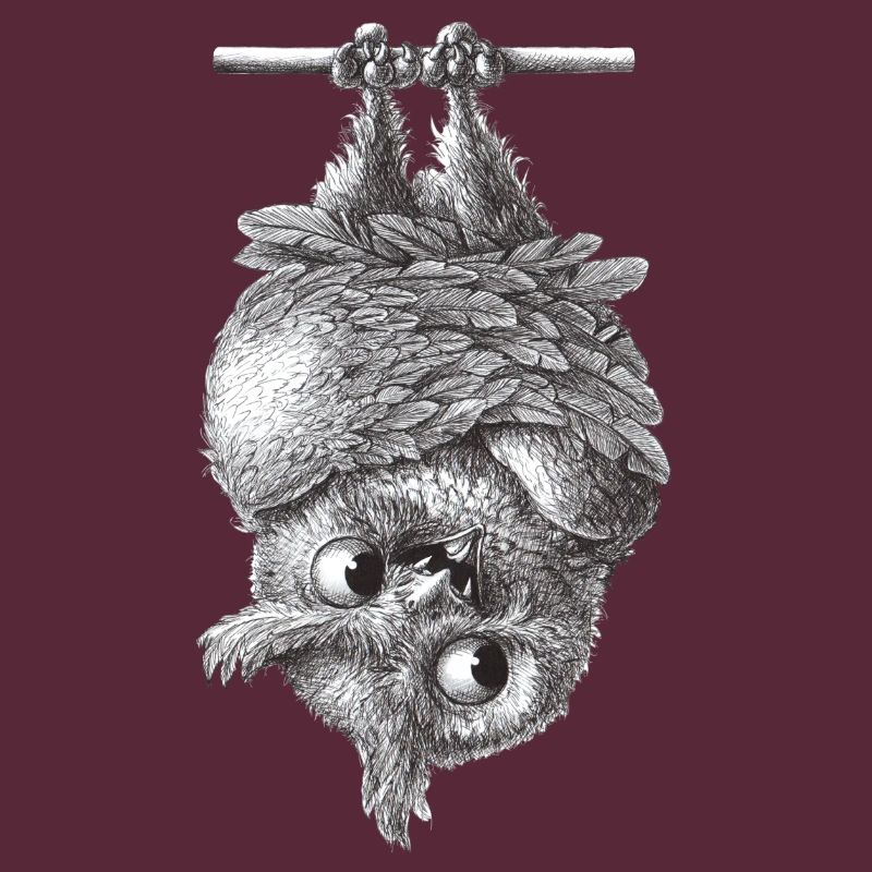 Vampir Eule - Dracula Eule