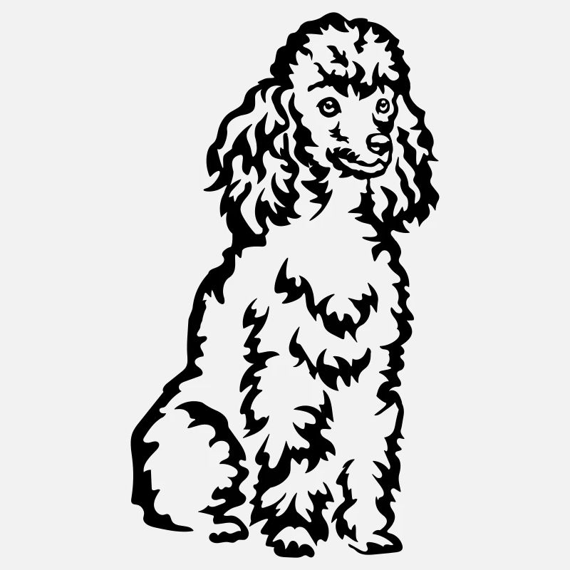 Poodle