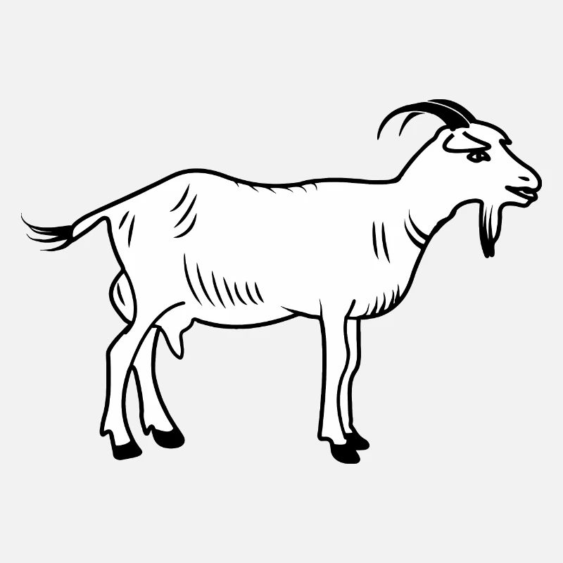 Chèvre blanche
