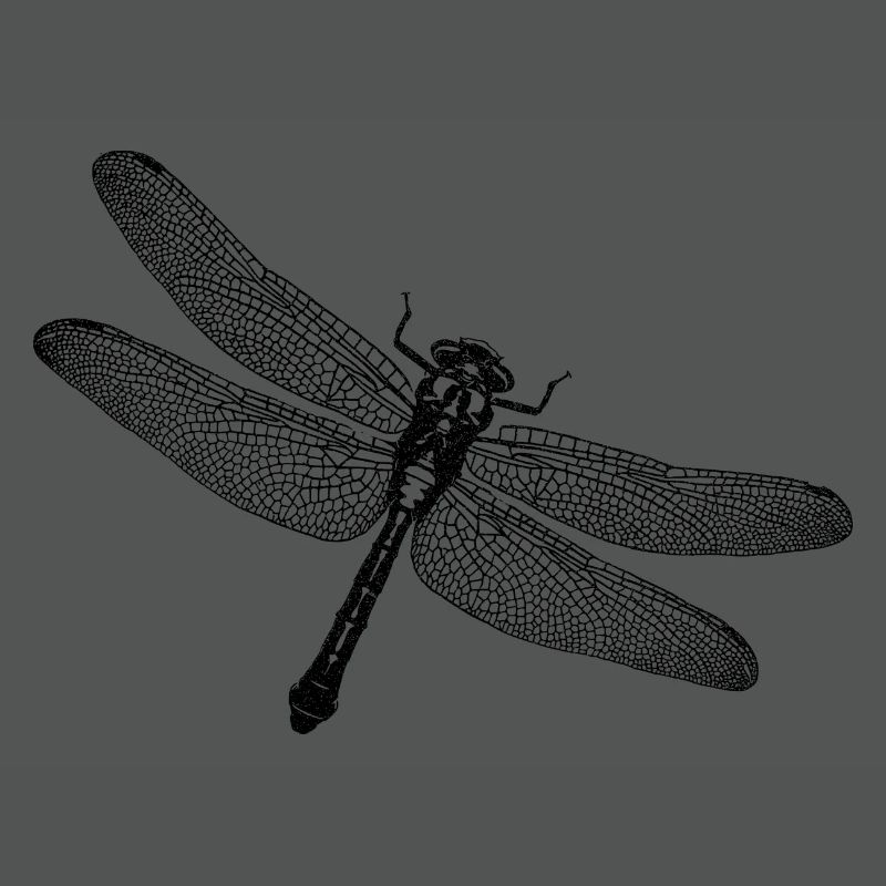 Libelle