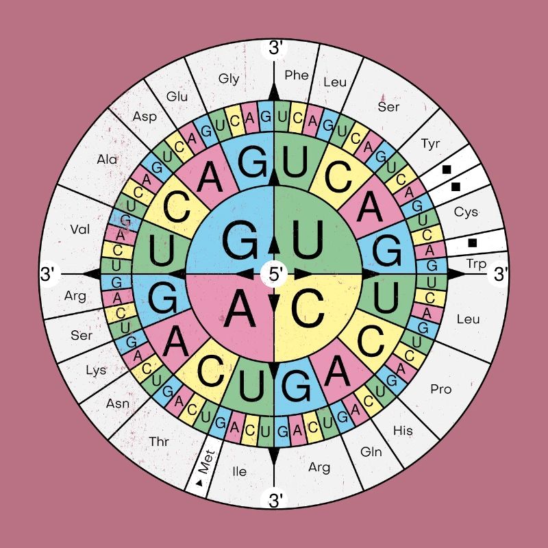 Biochemistry RNA Codon Code Sun Grunge Look