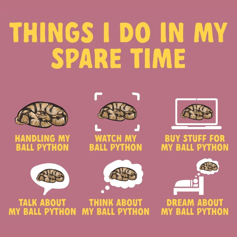 Ball Python Snake King Python