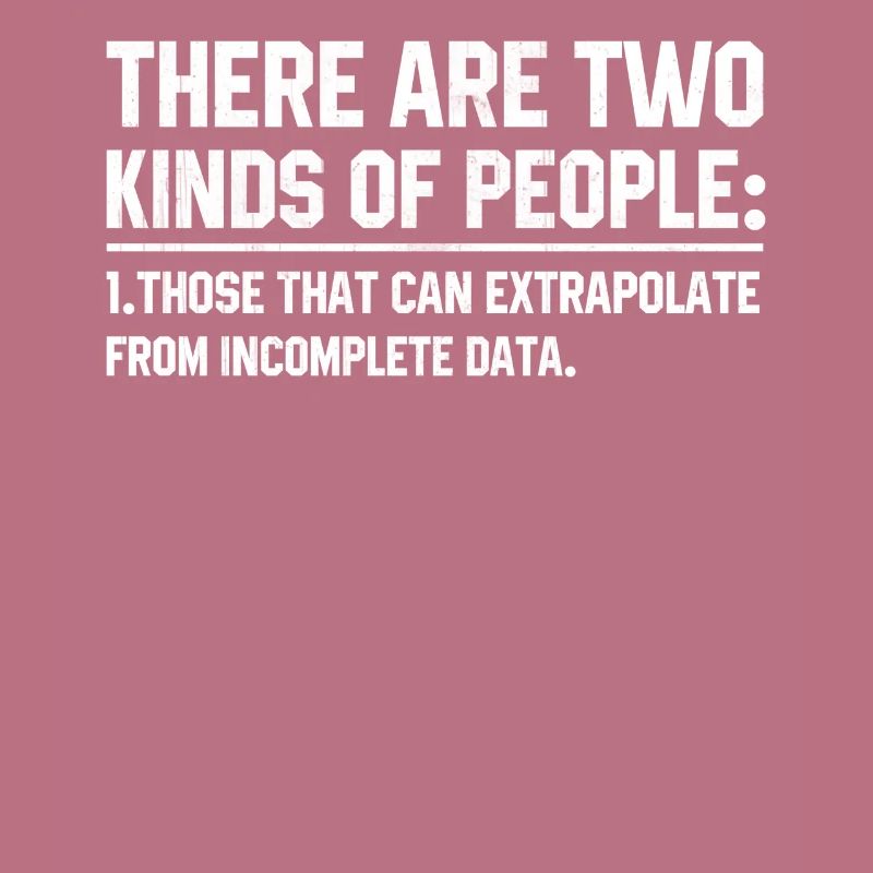 Software developer programmer