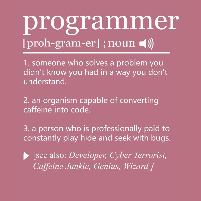 Programmer definition