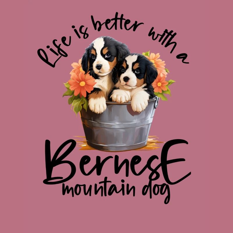Bouvier bernois