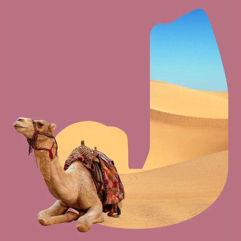 désert avec kamel j
