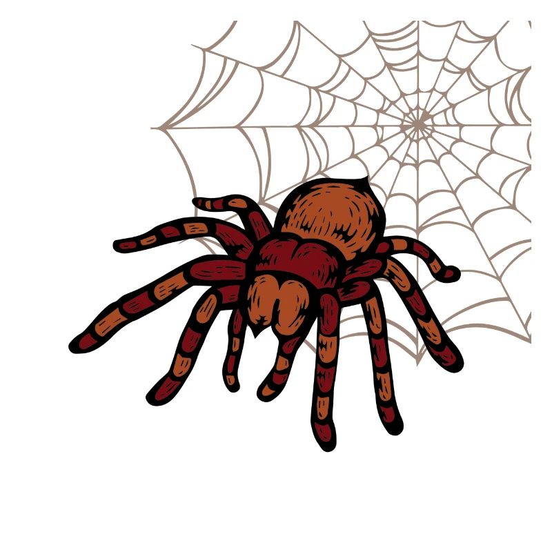 tarantula