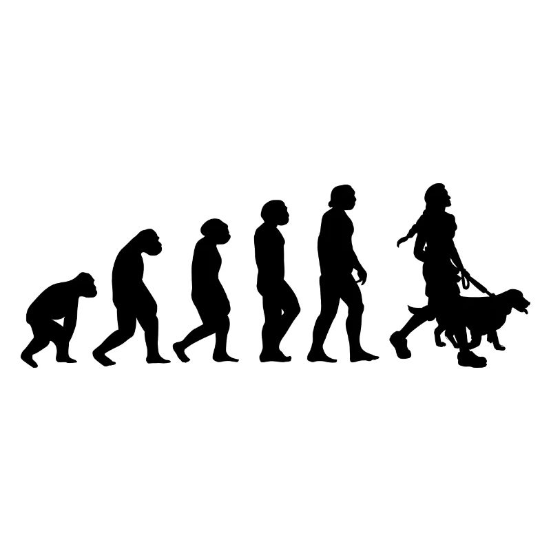 Evolution und Hund -