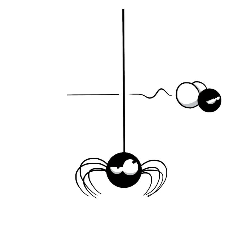 Beth the Spider - The Passing Fly