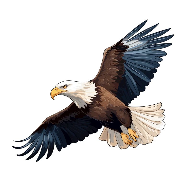 Bald Eagle Eagle Flying Eagle