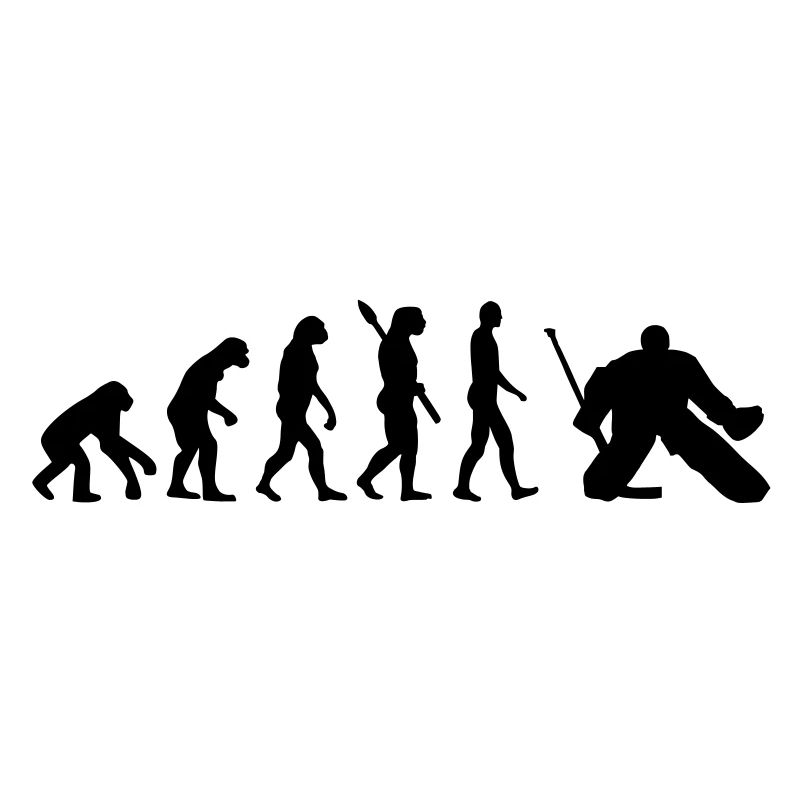 Évolution Hockey sur glace